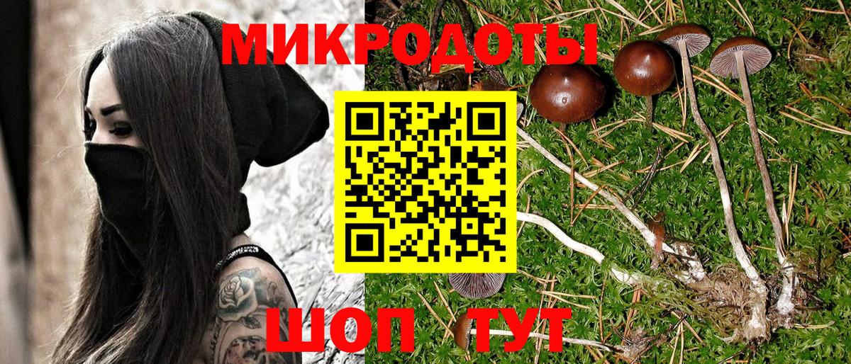 Псилоцибиновые грибы GOLDEN TEACHER  Вход с VPN  Ростов Великий  Псилоцибиновые грибы Magic Shrooms 